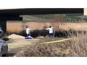 Büyükçekmece’de Vücudunda Çok Sayıda Bıçak Darbesi Olan Erkek Cesedi Buldu
