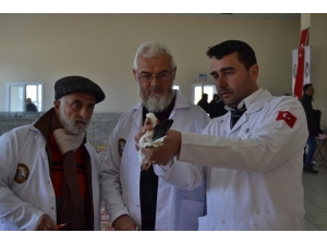 Güvercinler Birinci Olmak İçin Yarıştı