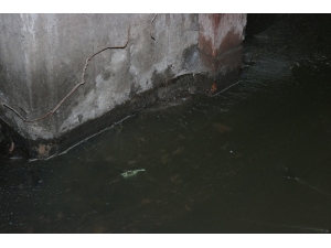 Depremin Ardından Binanın Bodrum Katı Su Aldı, Belediye Yetkilileri ‘Kendiniz Boşaltın’ Dedi