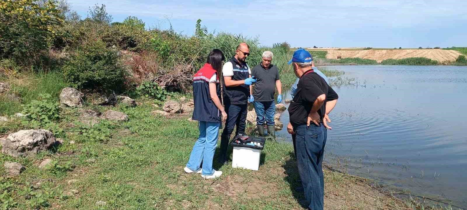 edirne-de-toplu-balik-olumlerinin-yasandigi-goletten-numune-alindi