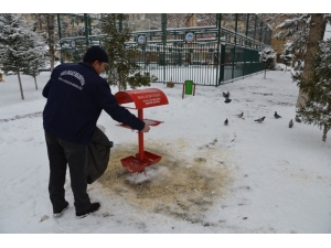 Melikgazi’de Sokak Hayvanları Unutulmadı