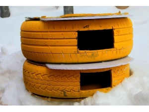 Hurda Lastikler Sokak Kedileri İçin Yuva Oldu