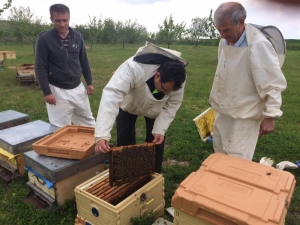 Büyükşehir’de Arıcılık Eğitim Başladı