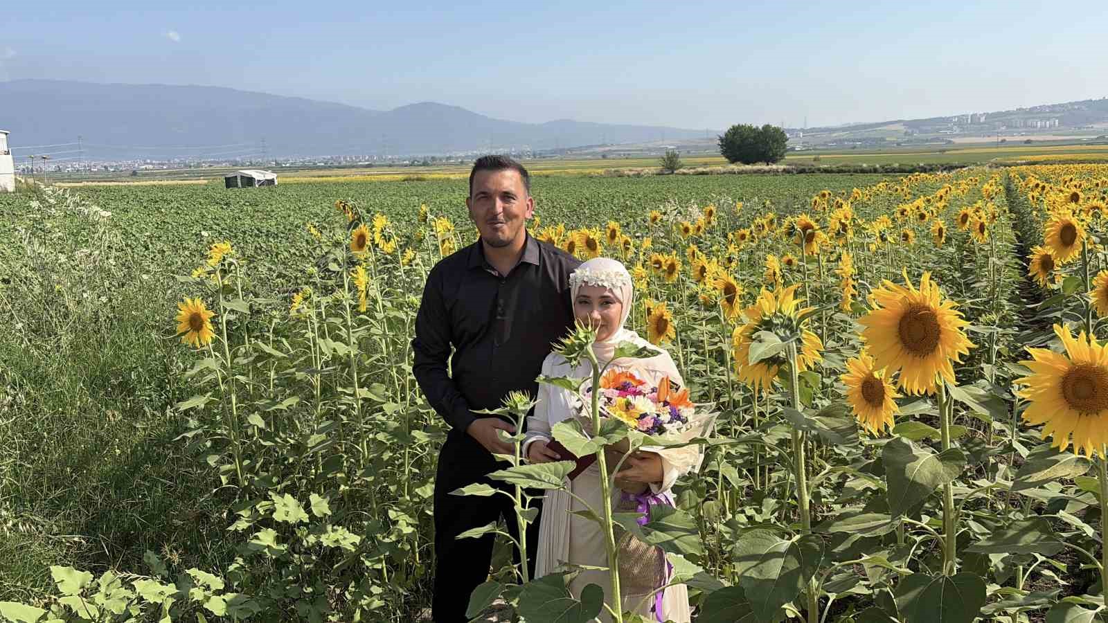 osmaniye-de-aycicegi-tarlalari-yeni-evli-ciftlerin-gozdesi-oldu