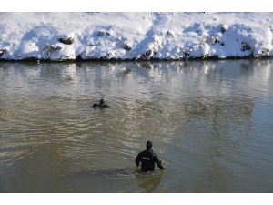 Terme Çayı’nda Kaybolan Babayı Arama Çalışmaları Devam Ediyor
