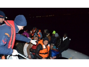 Ayvalık’ta 44 Göçmen Yakalandı