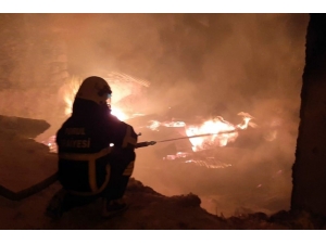 Torul’da Korkutan Yangın