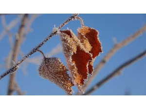 Ardahan Buz Şehre Döndü: Termometreler Eksi 38’i Gördü