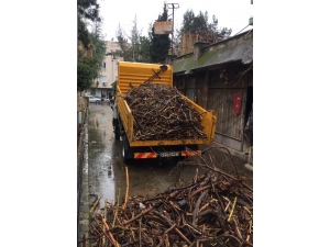 Taşkınlarla Sahile Dolan Odunlar, İhtiyaç Sahiplerine Dağıtılacak