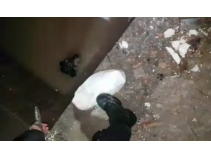 Polisin, İçi Su Dolu Asansör Boşluğuna Düşen Köpeği Kurtarma Operasyonu Kamerada