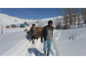 Çetin Kış Şartları, Hayvancılıkla Uğraşanları Zorlamaya Başladı