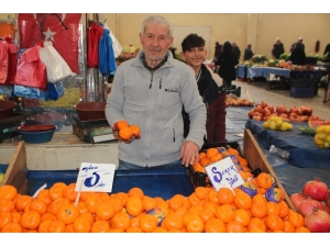 Tezgâhların Kış Meyvesi Şampiyonu Mandalina