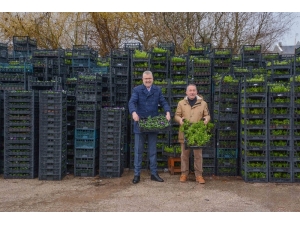 Karacabey Kış Aylarında Da Çiçek Bahçesi Gibi