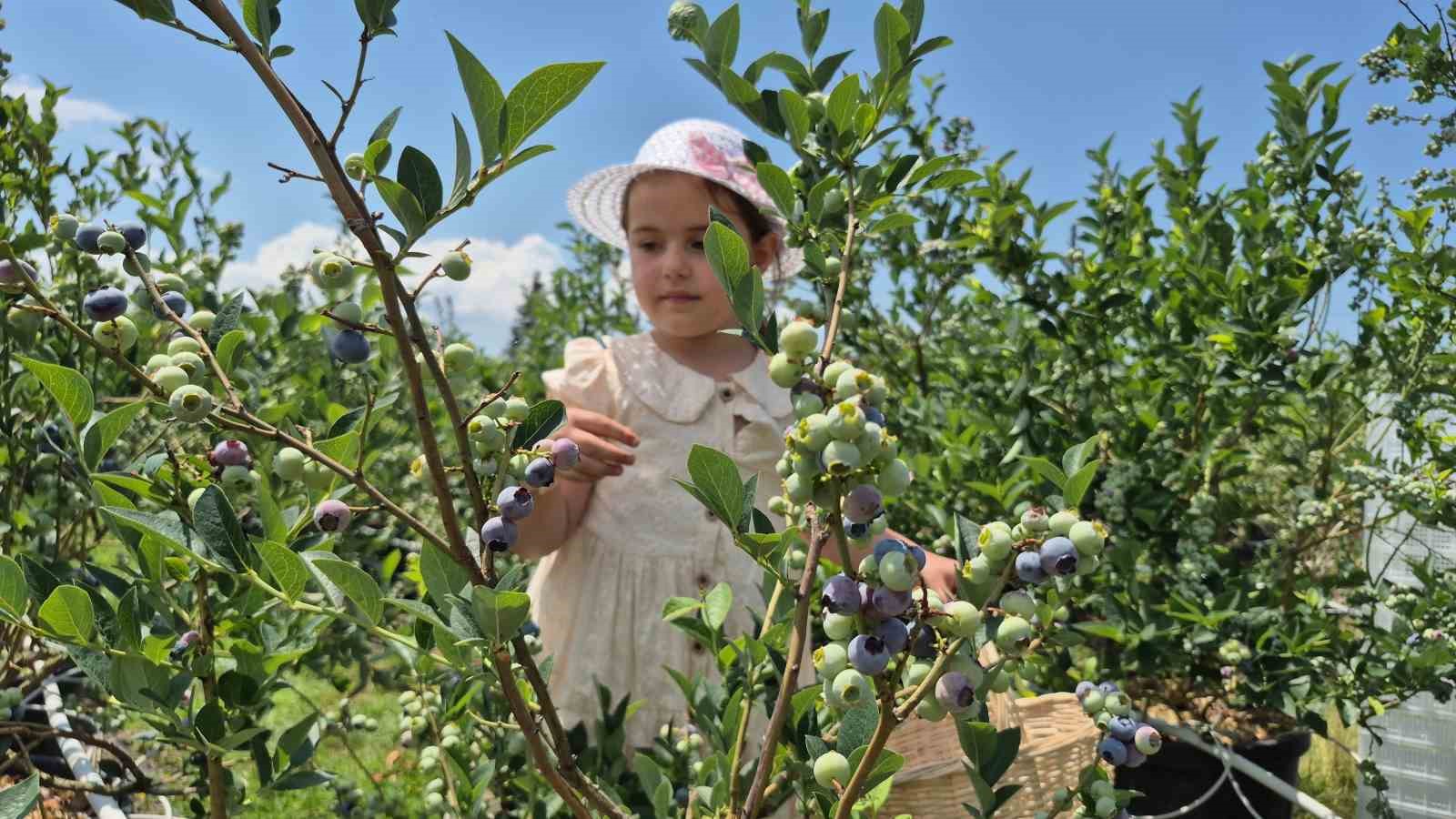 ilahiyat-fakultesi-ogrencisinden-tarimda-basari-hikayesi