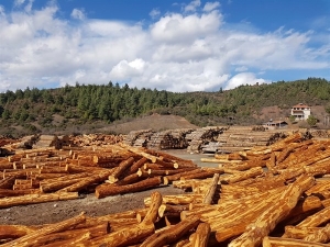 Müdür Keskin: “Orman Emvallerimizi En İyi Şekilde Muhafaza Ediyoruz”