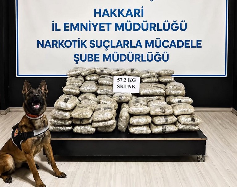 hakkari-de-57-kilo-200-gram-skunk-ele-gecirildi