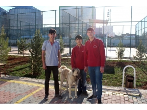 Öğretmenlerinden İzin Alıp Dersten Çıktılar, Tellere Takılan Köpeği Kurtardılar