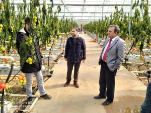 Fırtınada 47 Dekar Alanda Bulunan Sera Zarar Gördü