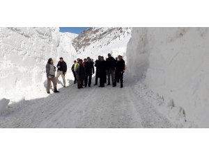 Çığ Bölgesinde İş Makineleri Dondu