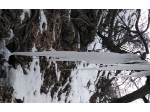 Sason’da Dereler Buz Tuttu