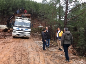 Mersin’deki Yangın Sahalarında İnceleme