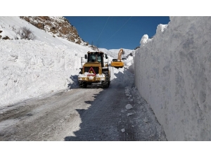 Çatak’taki Çığ Bölgelerinde Çalışmalar Sürüyor