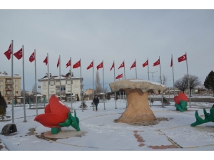 Gülşehir Belediyesi, Türk Bayraklarını Yeniliyor