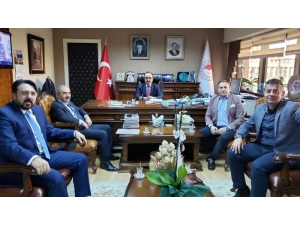 Ayvalık Tabiat Parkı İçin Yeni Bir Umut Doğdu