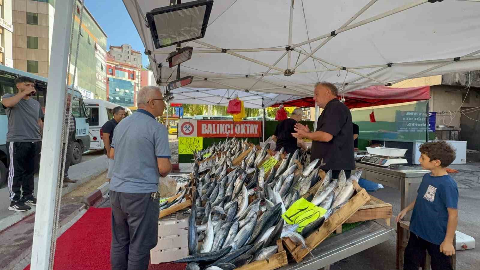 zonguldak-ta-palamut-sezonu-100-liradan-basladi