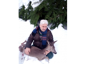 Köpeklerin Kovaladığı Karaca Üniversiteye Sığındı