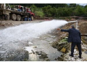 Oylat’a Kardeş Geliyor