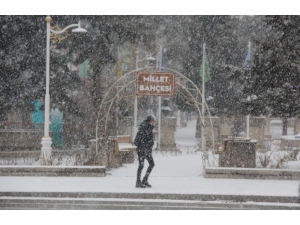 Lapa Lapa Yağan Kar Erzincan’ı Beyaza Bürüdü