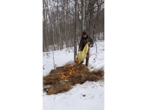 Yaban Hayatı Unutmadılar: 480 Kilo Yem, 300 Kilo Kuru Ot