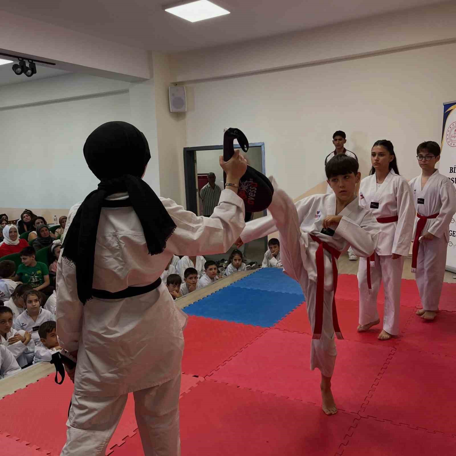 bilecik-te-yaz-spor-okullarinda-tekvandoya-yogun-ilgi