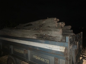 Kalas Hırsızları Suçüstü Yakalandı