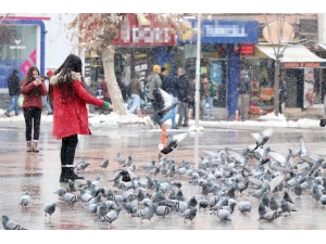 Aksaray’da Soğuk Havada Kuşlara Vatandaşlardan Yem
