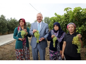 Üretici İçin Hazırlanan Yatırım Ödül Aldı