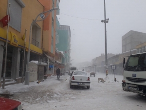 Ağrı’da Tipi Hayatı Felç Etti