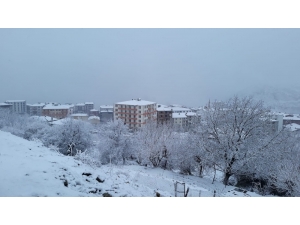 Kulp’ta Kar Yağışı Nedeniyle Okullar Tatil Edildi