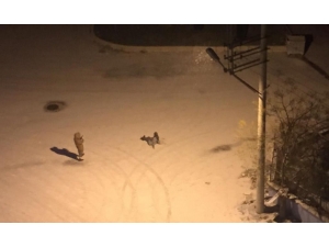 Şanlıurfa’da Hamile Ve Engellilere Kar Tatili