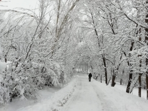 Hizan’da Kar Yağışı Nedeniyle Okullar Tatil Edildi