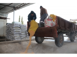 Kendi Yemlerini Kendileri Üretiyor