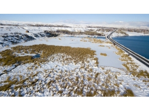 Ahlat’taki Kuş Cenneti Dondu