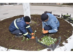 Ürettikleri Çiçeklerle Ceyhan’ı Süslüyorlar