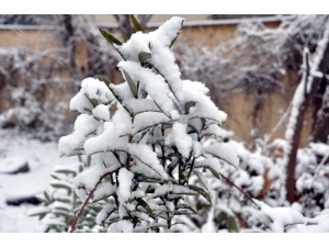 Sınırın Sıfır Noktasında Kar Sevinci