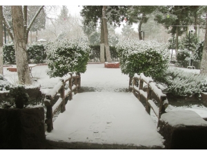 Araban’da 10 Yıl Sonra İlk Kez Yoğun Kar Yağışı