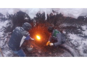 Ordu’da Donan Şebekelere Müdahale