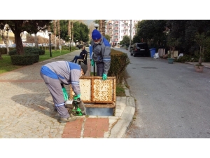 Sinekle Mücadele Kimyasal, Biyolojik Ve Fiziksel Çalışma İle Sürüyor