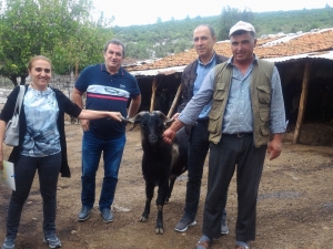 Muğla’da ‘Teke Değişim’ Projesi