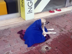 Antalya’da Zabıtadan Örnek Davranış